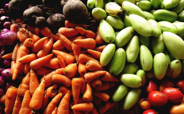 Daabon Colombia: 8 cosas que debes saber sobre los alimentos orgánicos